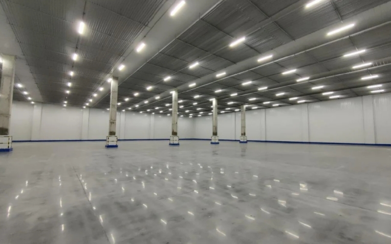 Équipement de chambre froide congelée, surgélateur à air pulsé, prix des chambres froides pour viande et poisson