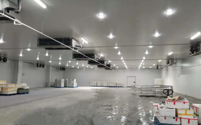 Équipement de chambre froide congelée, surgélateur à air pulsé, prix des chambres froides pour viande et poisson