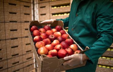Comment choisir un évaporateur pour une chambre froide?