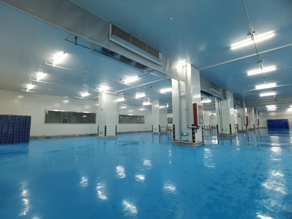 ARTECO Réalise avec Succès un Projet de Chambres Froides pour les Myrtilles dans le Comté de Huaining, Anhui