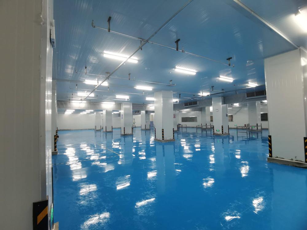 ARTECO Réalise avec Succès un Projet de Chambres Froides pour les Myrtilles dans le Comté de Huaining, Anhui