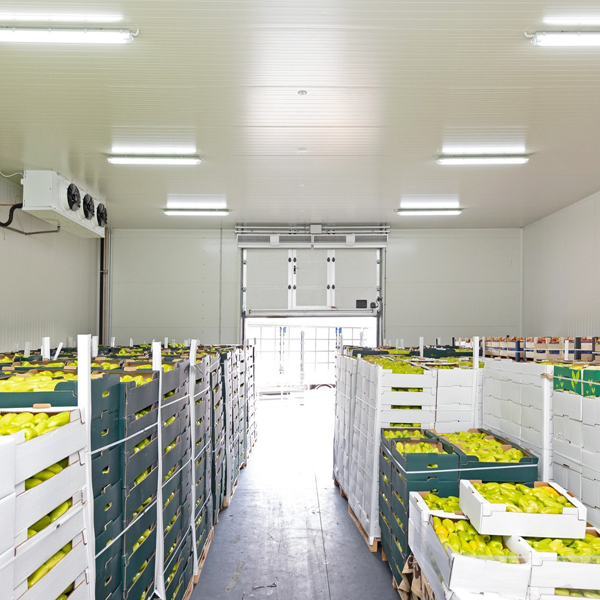 Chambre froide commerciale ARTECO pour fruits