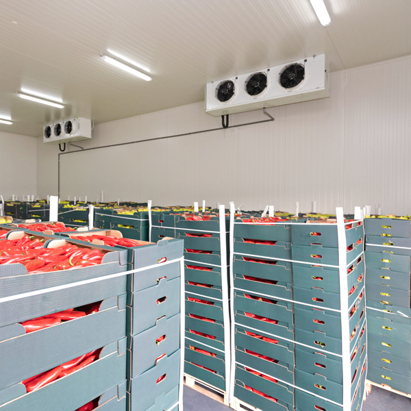 Chambre froide pour le stockage des fruits