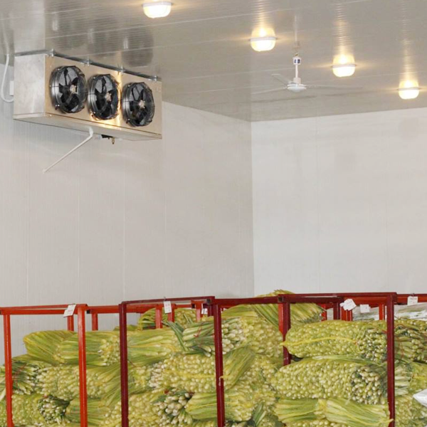 ARTECO Chambre de stockage commercial personnalisée pour fruits et légumes