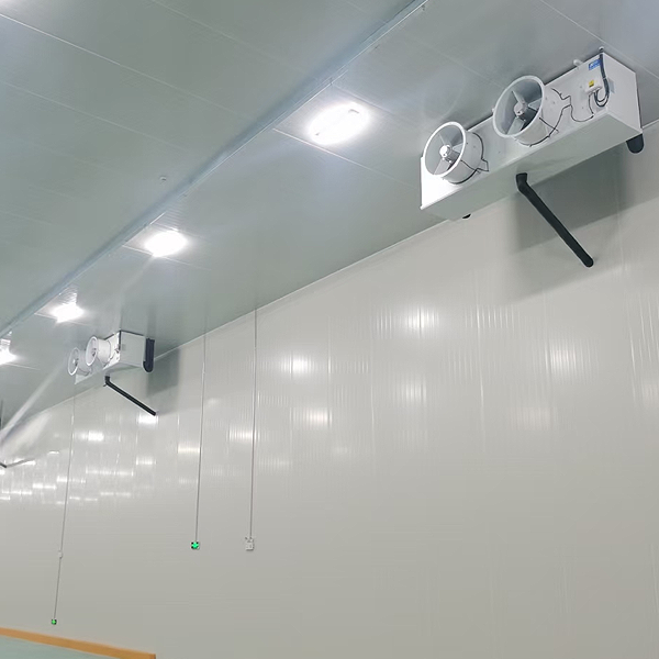 Équipement de chambre froide congelée, surgélateur à air pulsé, prix des chambres froides pour viande et poisson