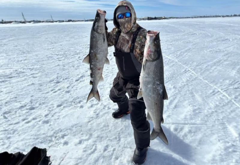 Client ARTECO Alaska