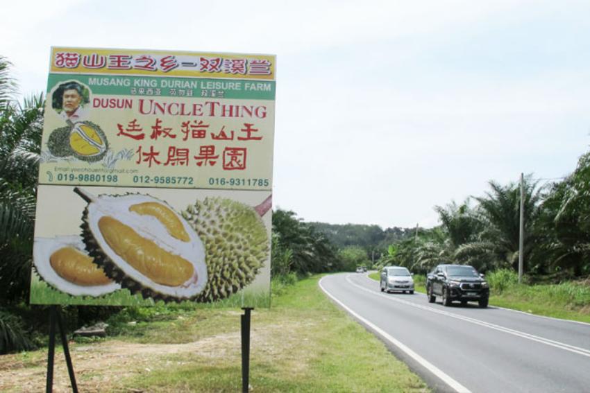 Maîtriser la conservation du durian : l’histoire à succès d’ARTECO en Malaisie