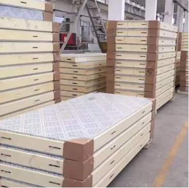 Conteneur frigorifique chambre froide 40 pieds -25℃.