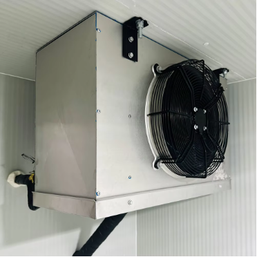 Conteneur frigorifique chambre froide 40 pieds -25℃.