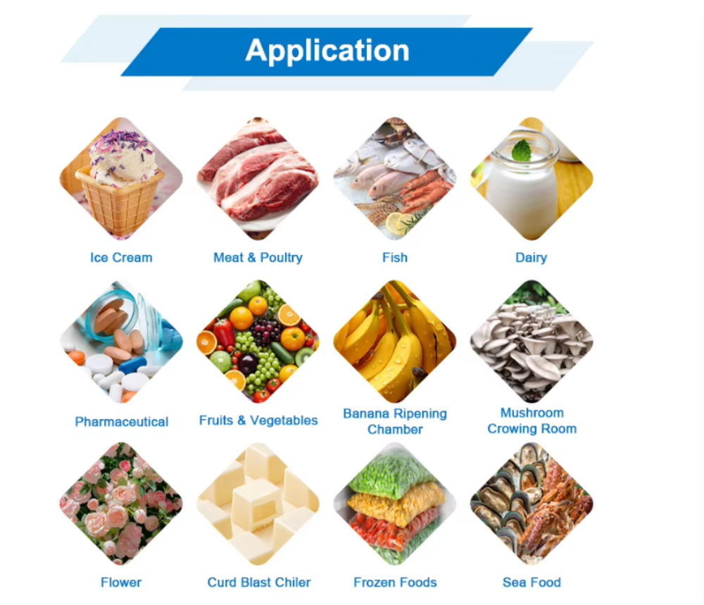 Conteneur frigorifique chambre froide 40 pieds -25℃.