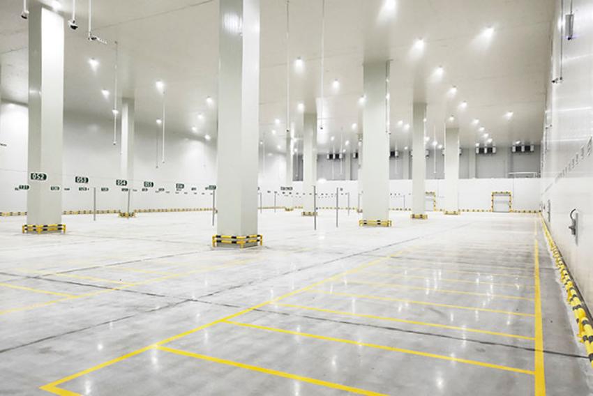 Congélation Ultra-Rapide : La Science des Congélateurs à Congélation Soudaine