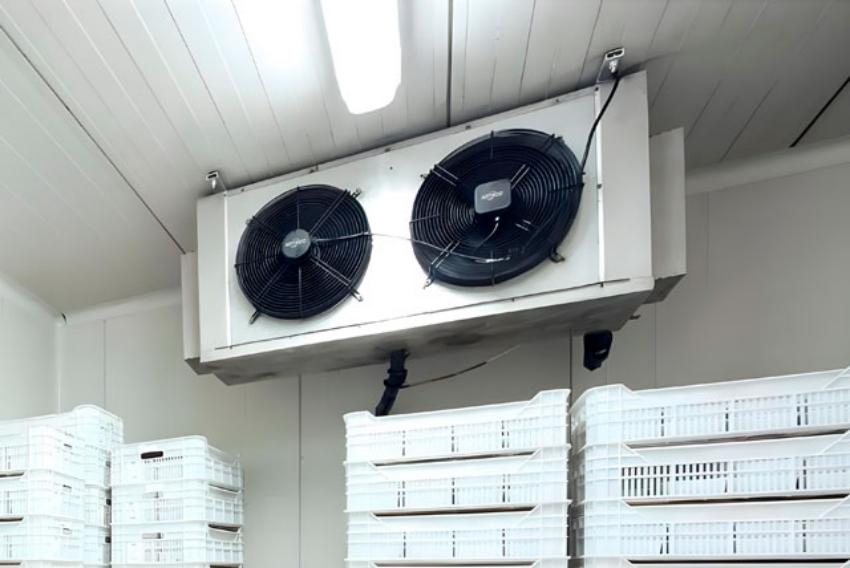 Congélation Ultra-Rapide : La Science des Congélateurs à Congélation Soudaine