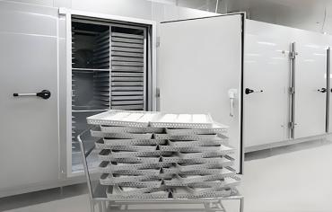 Congélation Ultra-Rapide : La Science des Congélateurs à Congélation Soudaine