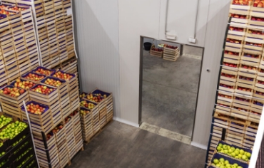 Comment Fonctionne le Stockage Frigorifique pour les Pommes