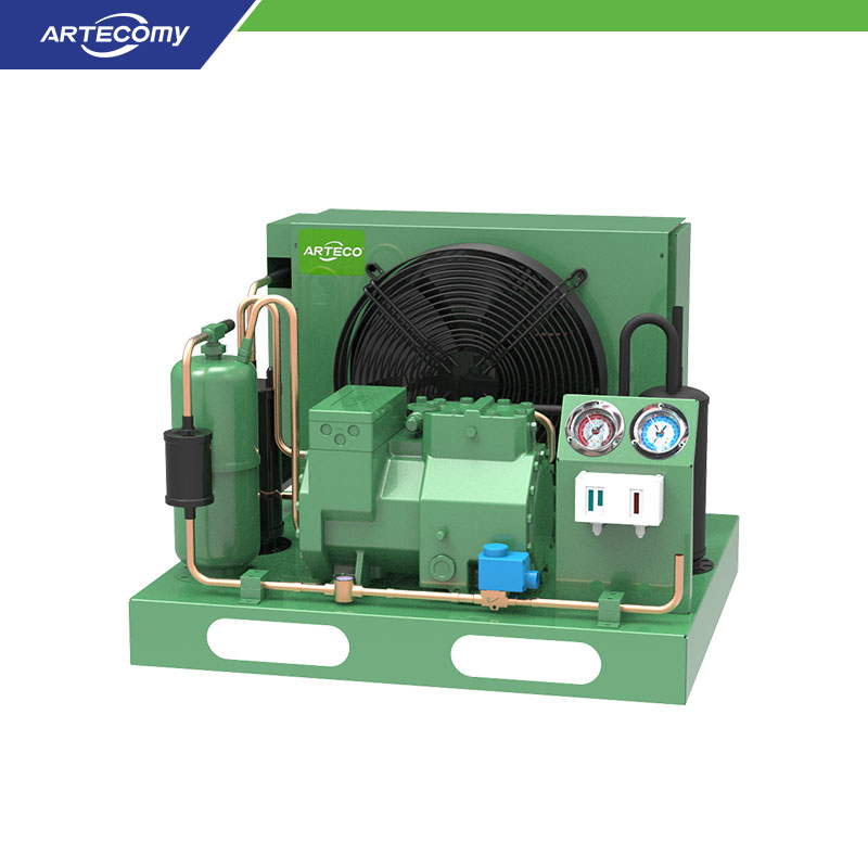 Unité de condensation Bitzer 4CES-6Y 6HP de type ouvert pour produits surgelés