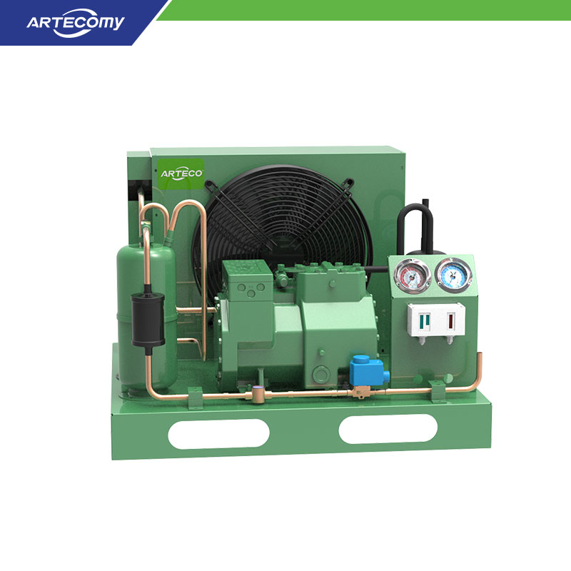 Unité de condensation semi-hermétique Bitzer 2GES-2Y 2HP pour usage commercial