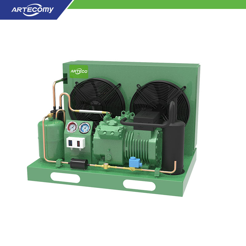 Unité de condensation Bitzer 2DES-3Y 3HP pour la réfrigération de vente au détail