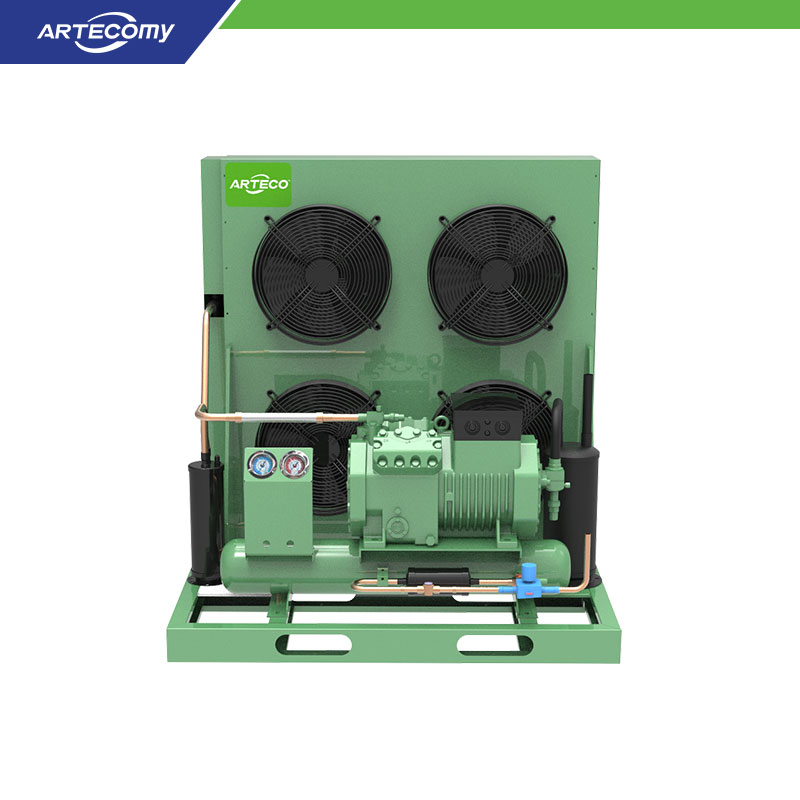 Unité de condensation Bitzer 4CES-9Y 9HP pour grands systèmes de réfrigération