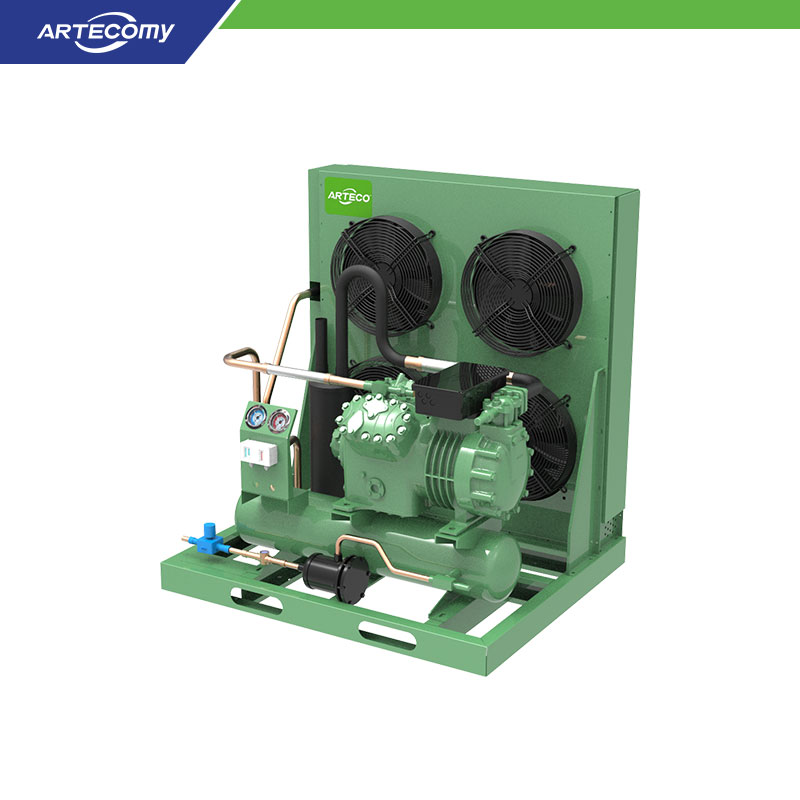 Unité de condensation Bitzer 4JE-15Y 15HP pour chambres froides à usage intensif