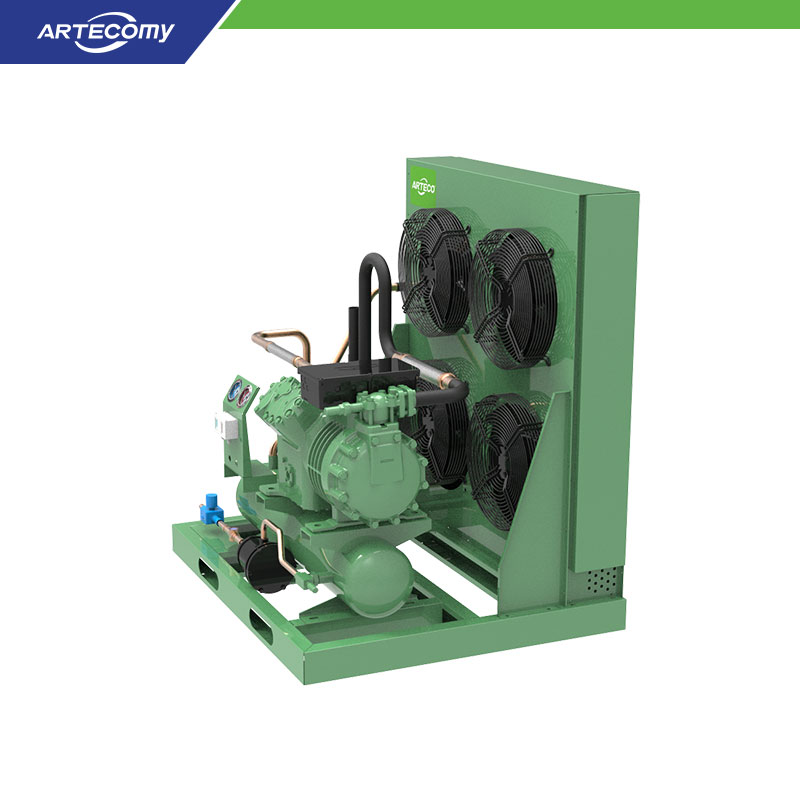 Unité de condensation Bitzer 6HE-28Y 28HP pour usines de transformation alimentaire