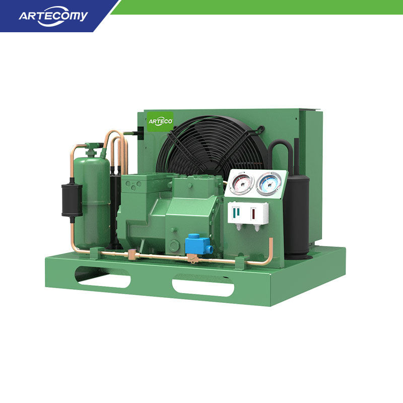 Unité de condensation à air Bitzer 2GES-2Y 2HP pour usage commercial