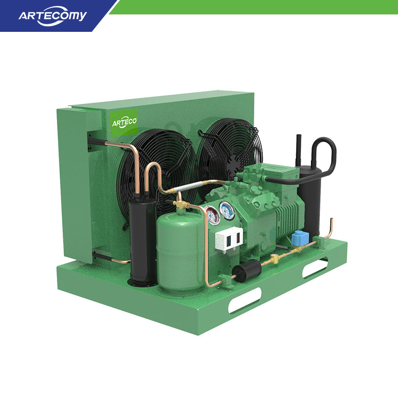 Unité de condensation ouverte Bitzer 2CES-4Y 4HP pour chambres de stockage