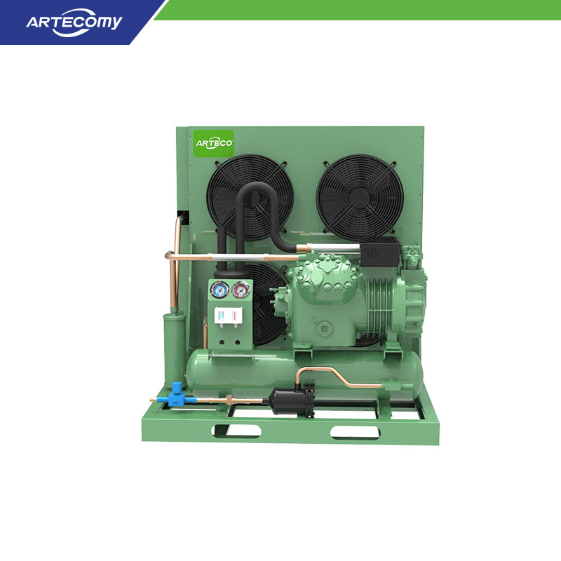 Unité de condensation Bitzer 4GE-30Y 30HP pour stockage frigorifique à grande échelle