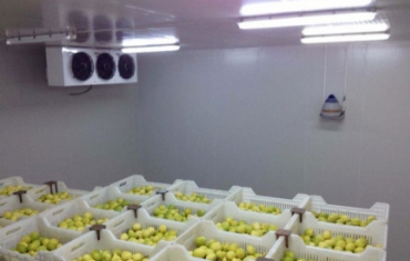 Les chambres froides doivent-elles être désinfectées ? Comprendre l’hygiène du stockage frigorifique