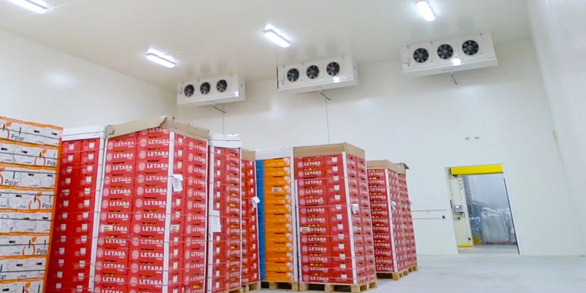 Comment la réfrigération aide à préserver les saveurs traditionnelles : L’histoire des Zongzi et du Festival du Bateau-Dragon