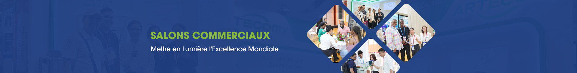 Salons professionnels