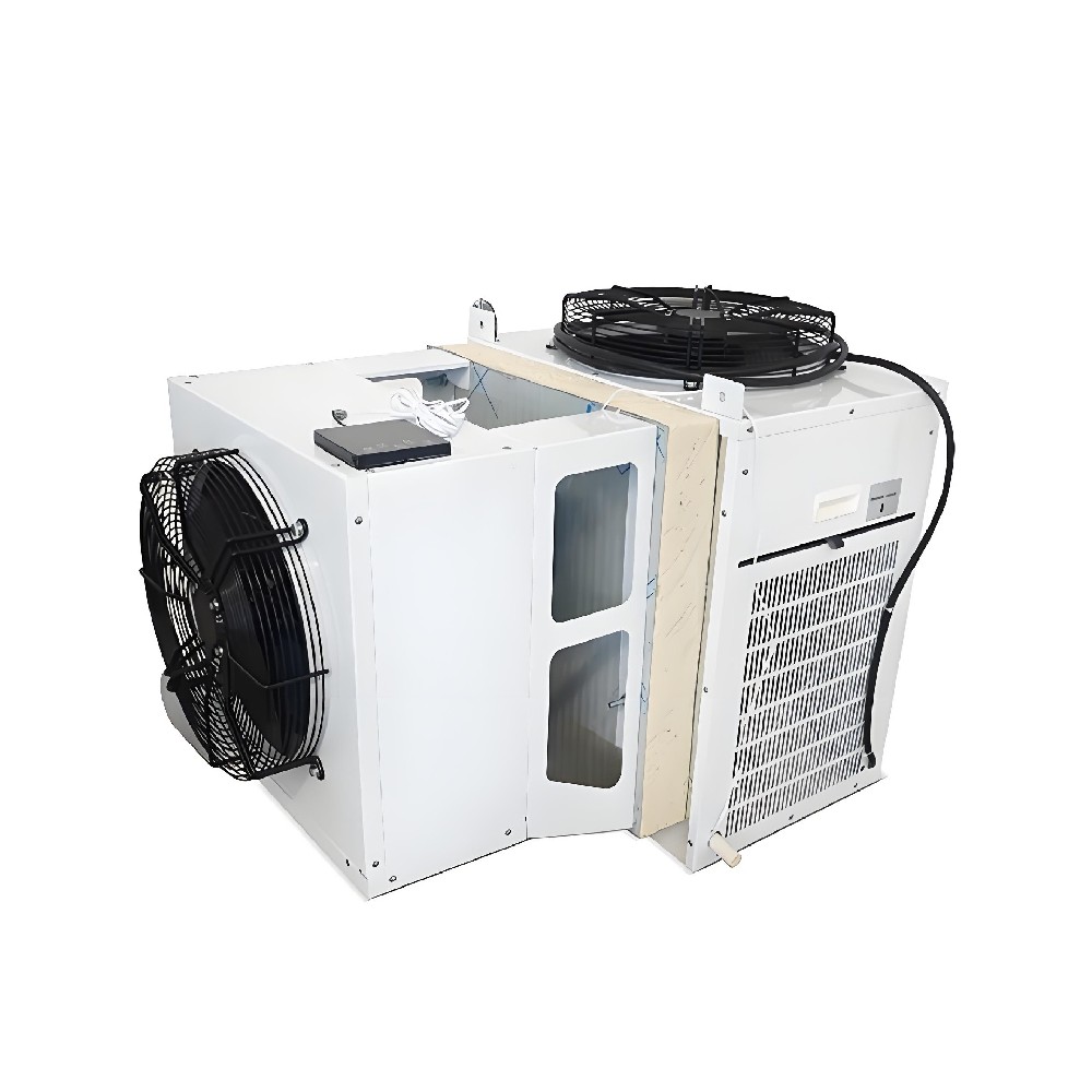 Unité de Réfrigération Monobloc Murale 3HP pour Chambres Froides